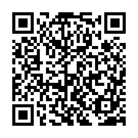 QR code for plate DCV 863