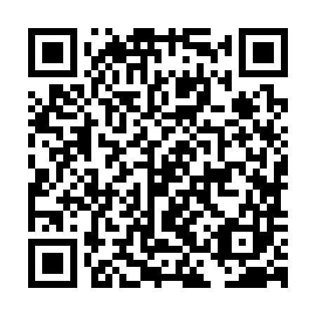 QR code for plate DCZ 383
