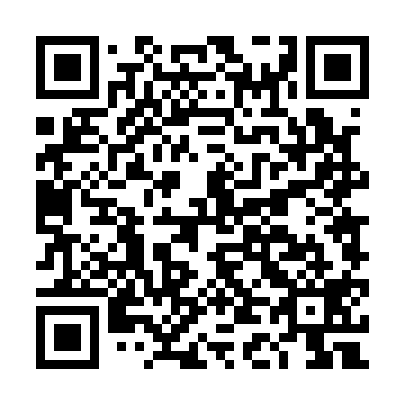 QR code for DD 4119