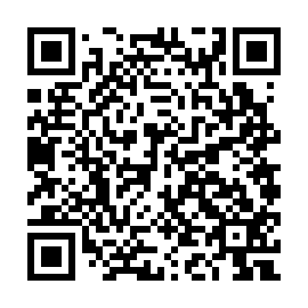 QR code for DD 6313