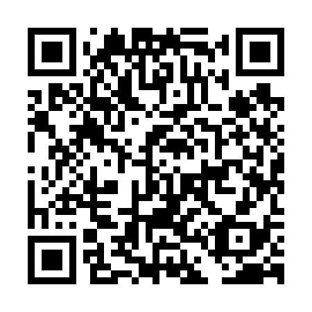 QR code for DD 9638