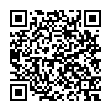QR code for plate DD 0133
