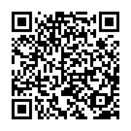 QR code for plate DD 0999