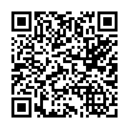 QR code for DD4295