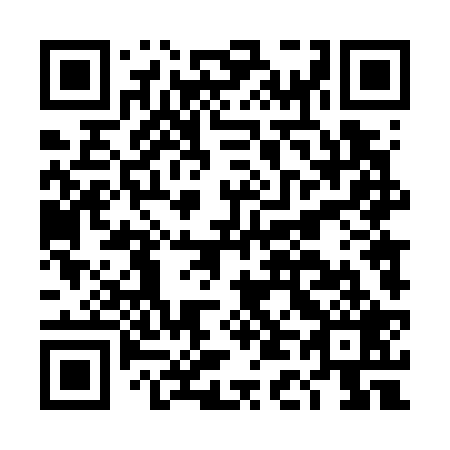 QR code for DD4729
