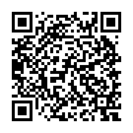 QR code for DD5291