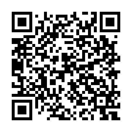QR code for plate DD 9196