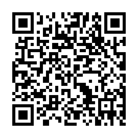 QR code for plate DDD 185