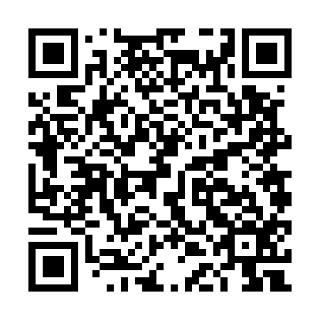 QR code for plate DDF 516