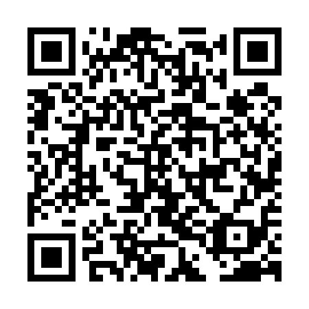 QR code for plate DDF 519