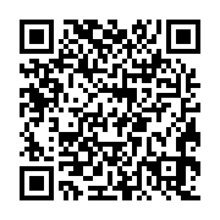 QR code for plate DDG 173