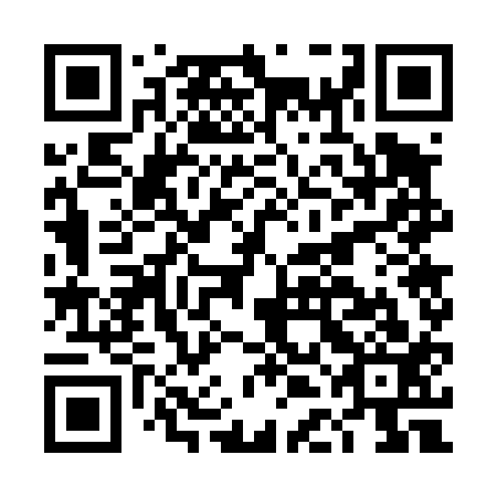 QR code for DDG413