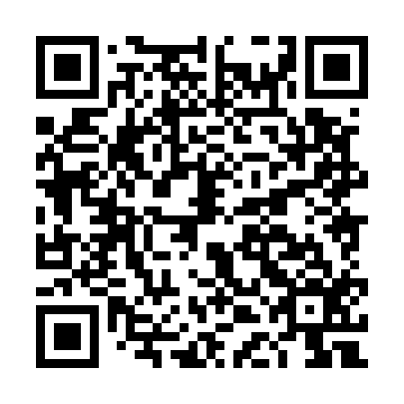 QR code for plate DDH 516