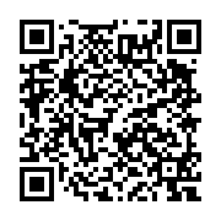 QR code for DDI 490