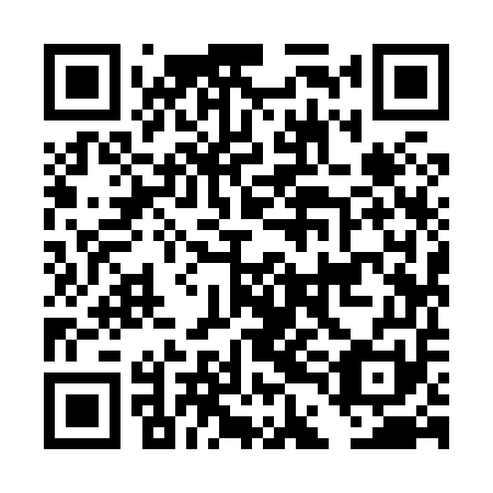 QR code for plate DDI 851