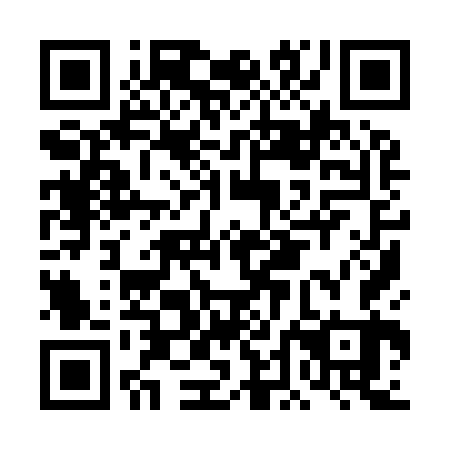 QR code for DDI963