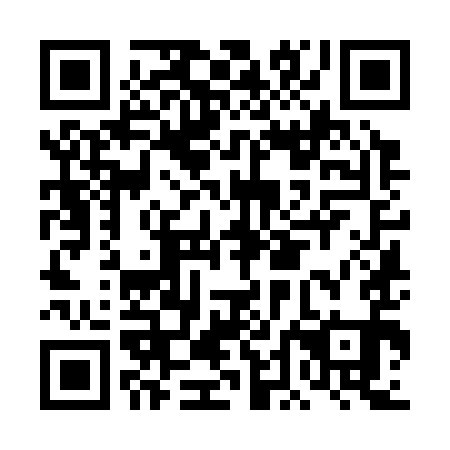 QR code for DDK 391