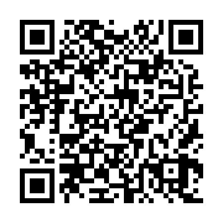QR code for DDK 868