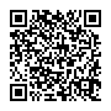 QR code for plate DDK 387