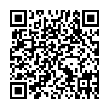 QR code for DDL 019