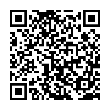 QR code for DDL 163