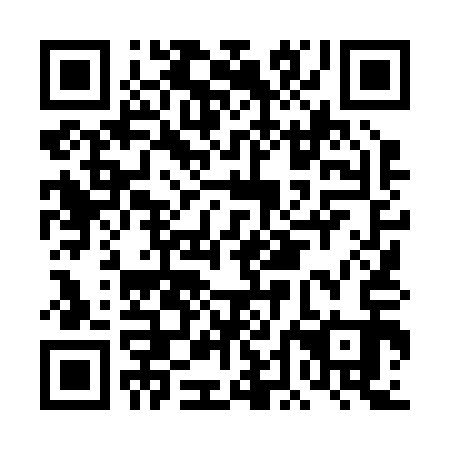 QR code for DDL 213