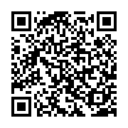 QR code for DDL001