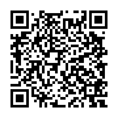 QR code for plate DDL 008