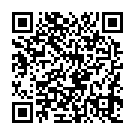 QR code for plate DDL 379