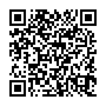 QR code for DDL981