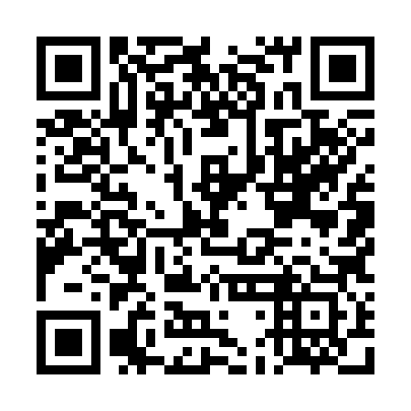 QR code for DDM383