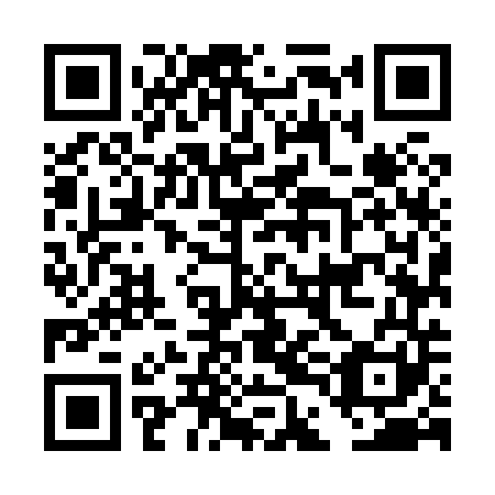 QR code for plate DDM 841
