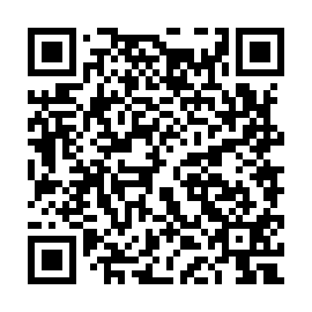 QR code for DDN 911