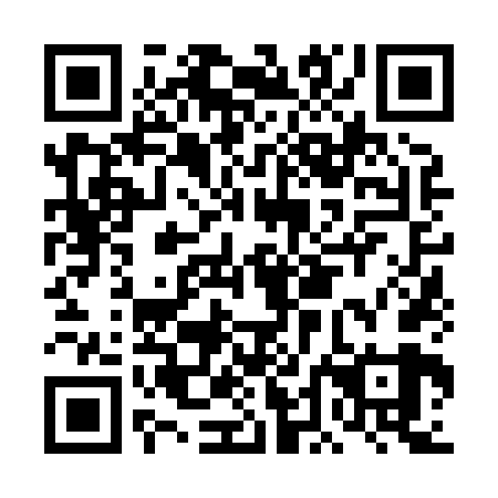 QR code for plate DDN 869