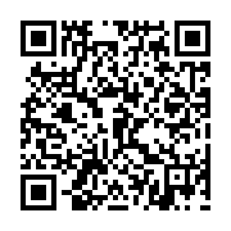 QR code for plate DDP 976