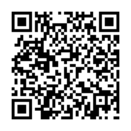 QR code for DDQ 228