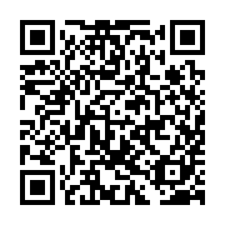QR code for DDQ 381