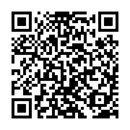 QR code for plate DDR 299