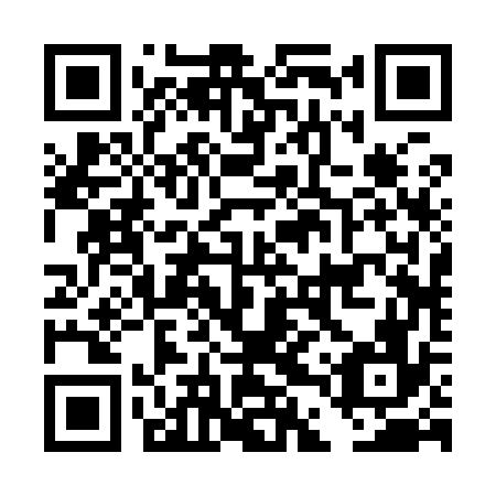 QR code for DDR976