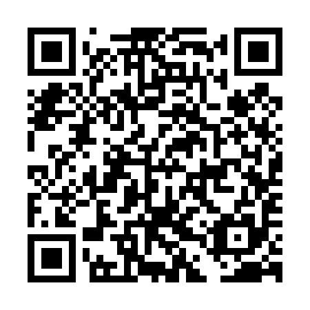 QR code for DDS 495