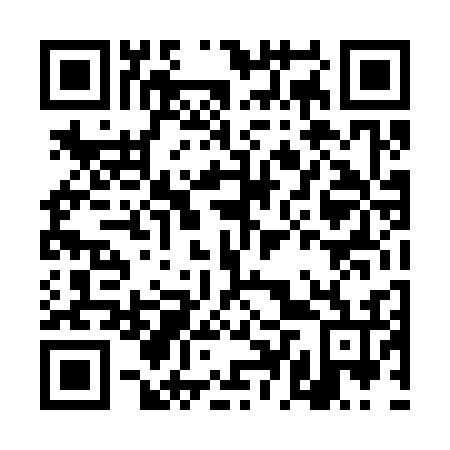 QR code for DDT 336