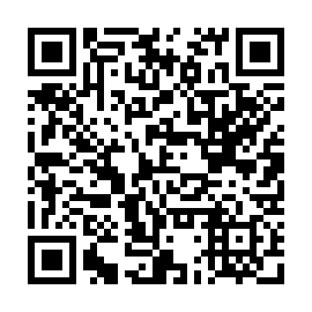 QR code for DDT 338