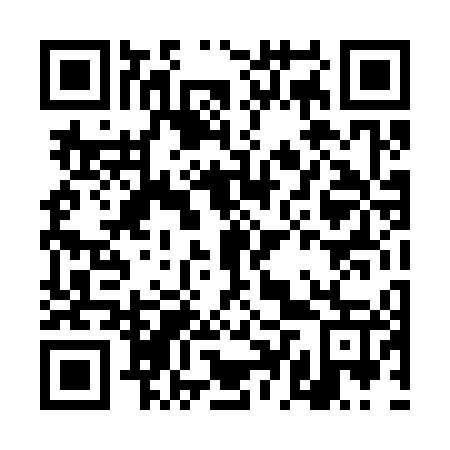 QR code for DDT 347