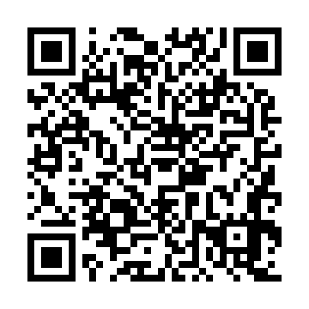 QR code for plate DDT 977