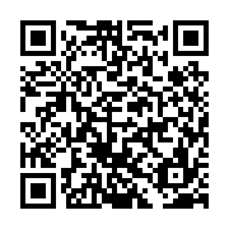 QR code for DDU 236