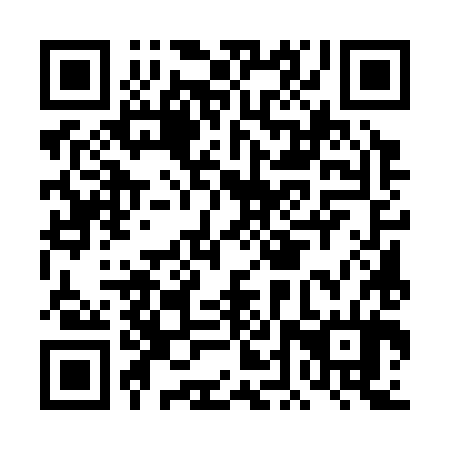 QR code for DDU 384