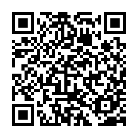 QR code for DDU385
