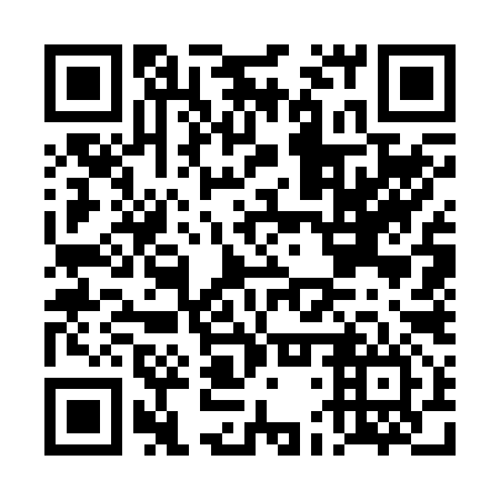 QR code for DDW 296