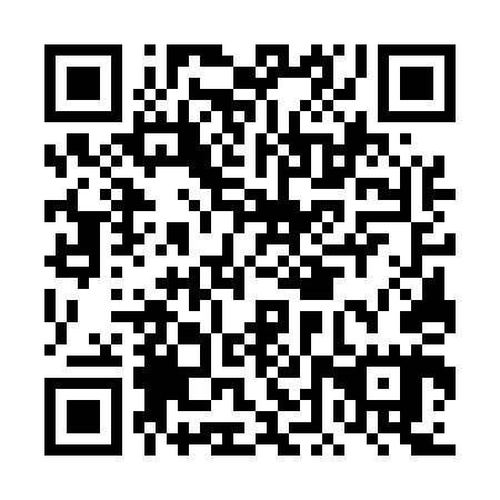 QR code for plate DDW 545