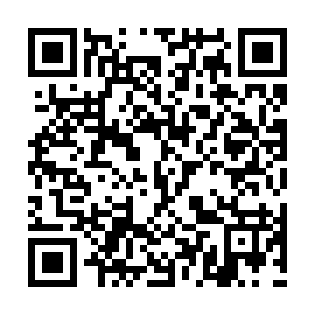 QR code for DDY 297
